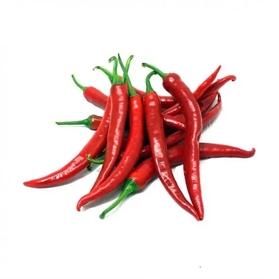Chilli Biber | Zeybek Tarım