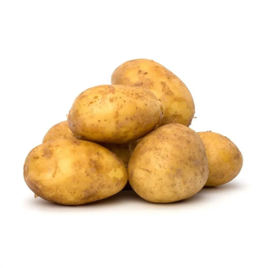 Patates | Zeybek Tarım